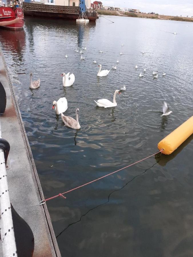 Lake View コンスタンツァ エクステリア 写真